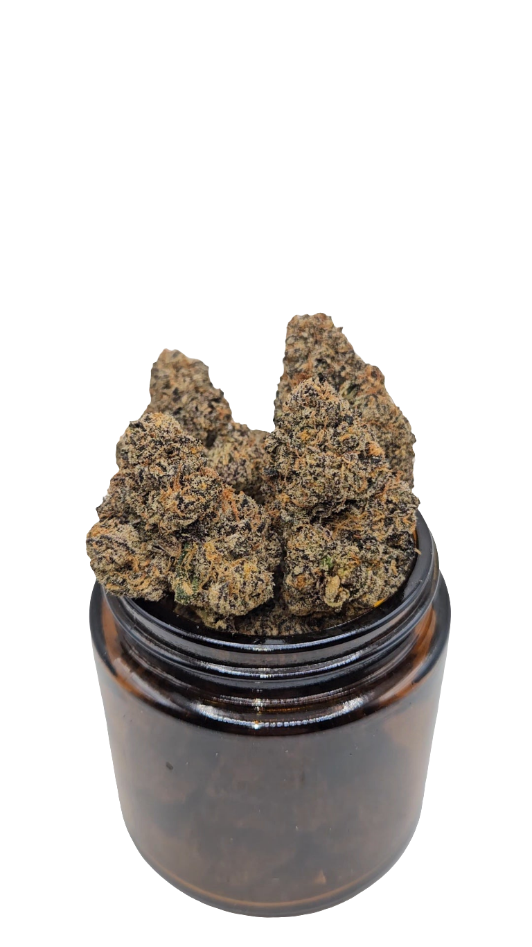 Zerealz - Top Shelf Indoor