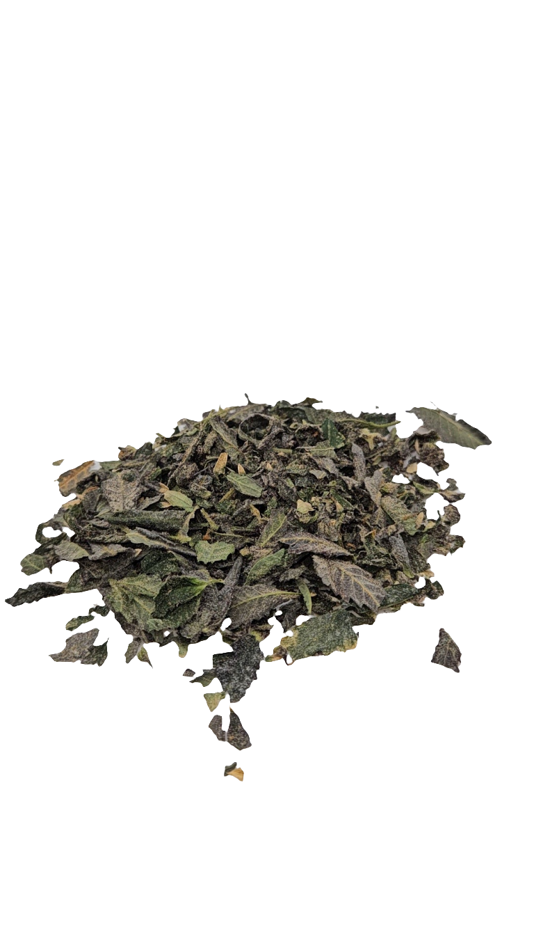 White Truffle - Indoor Trim