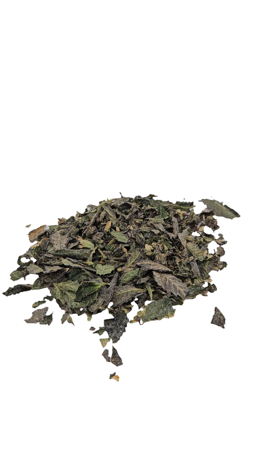 White Truffle - Indoor Trim