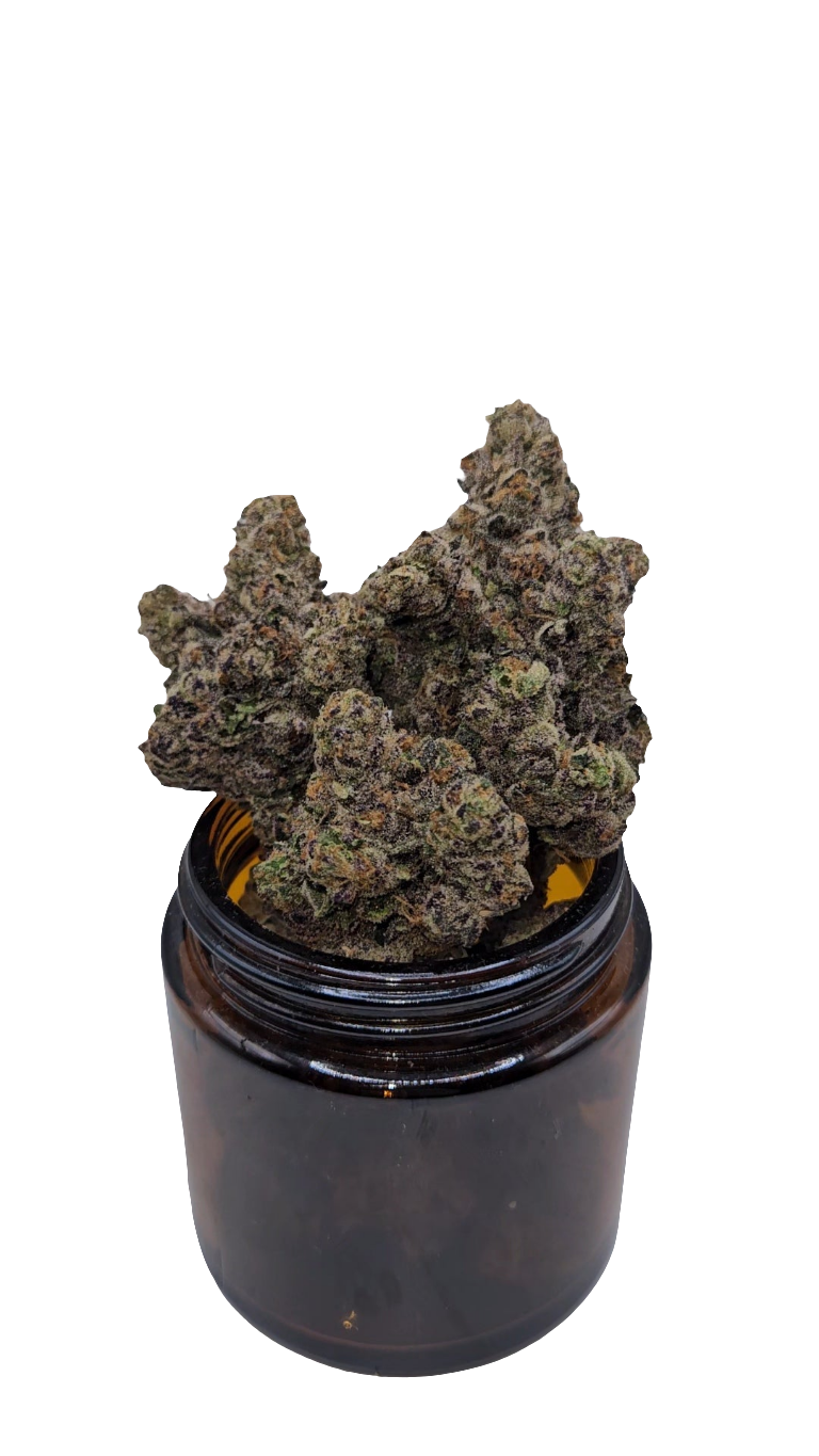 Caramel Kutthroat - Top Shelf Indoor