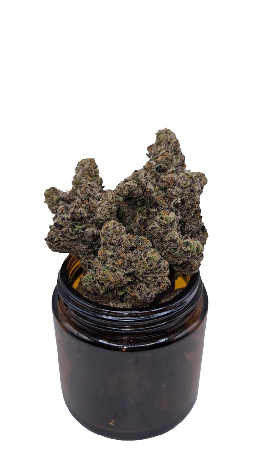 Caramel Kutthroat - Top Shelf Indoor