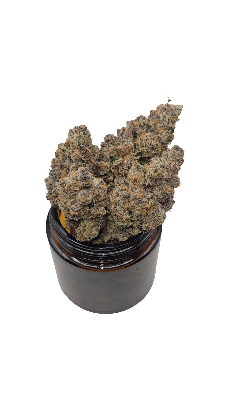 Superboof - Top Shelf Indoor