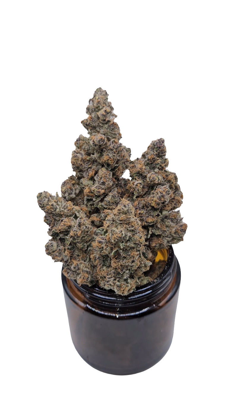 Superboof - Top Shelf Indoor
