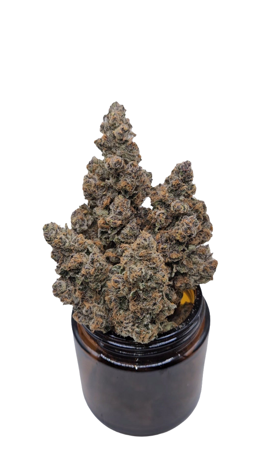 Superboof - Top Shelf Indoor