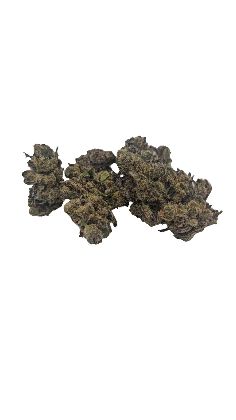 Jokerz Candy - 2025' Greenhouse Flower