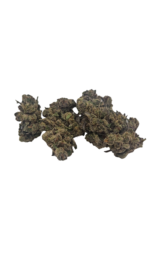 Jokerz Candy - 2025' Greenhouse Flower