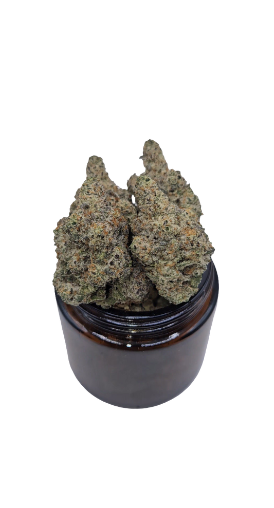 SPLASH! - Top Shelf Indoor