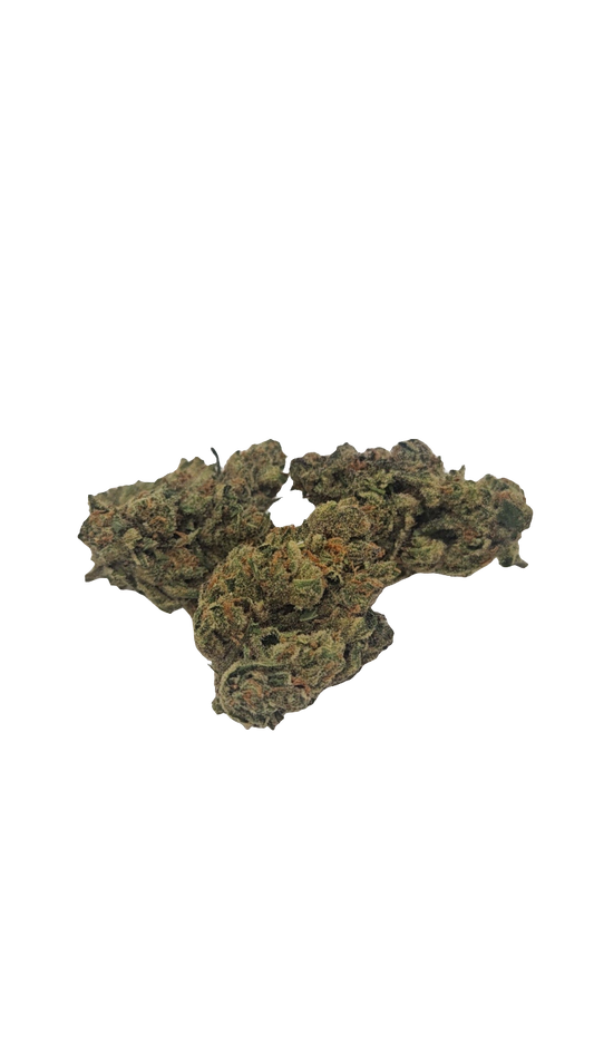 White Rainbow - 2025' Greenhouse Flower