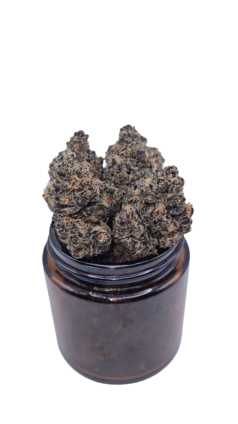 Blue Zushi - Top Shelf Indoor