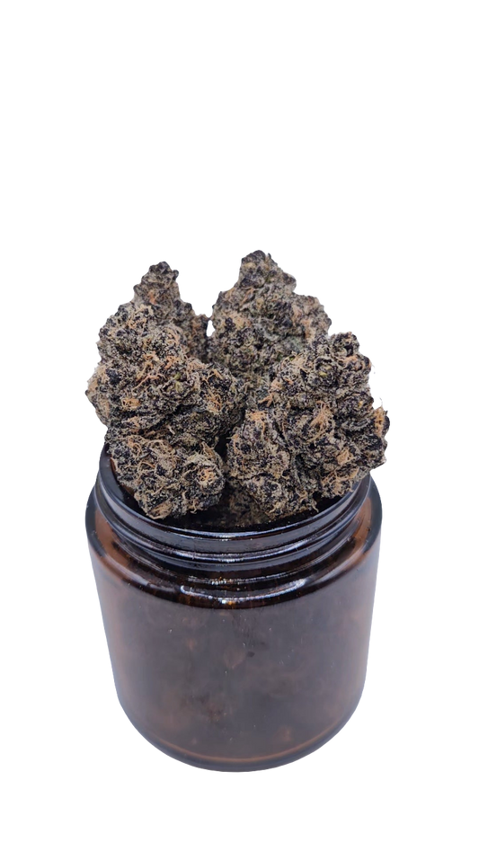 Blue Zushi - Top Shelf Indoor