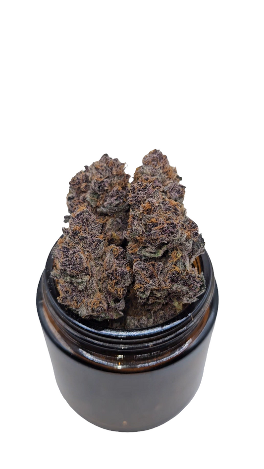 Tropicana Cherry - Top Shelf Indoor