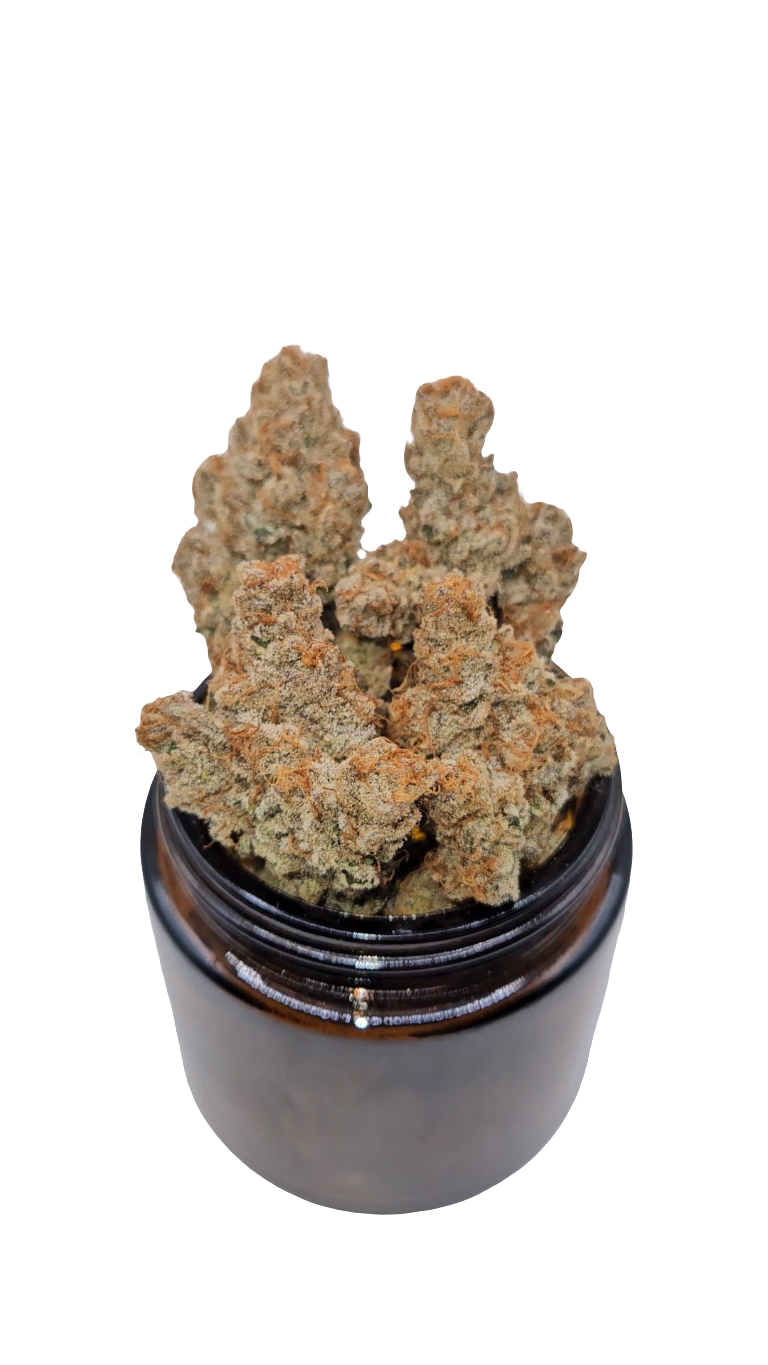 Platinum Papaya - Top Shelf Indoor