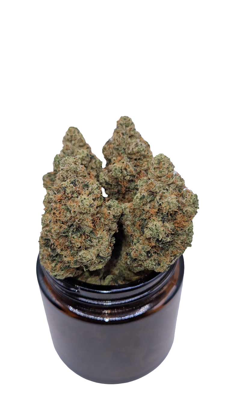 Larry OG - Top Shelf Indoor