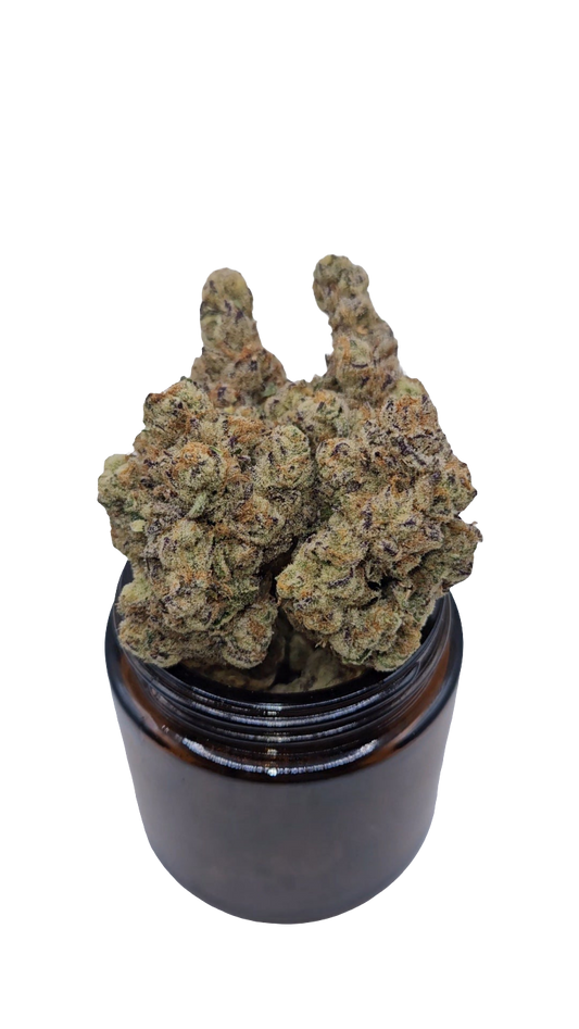 Cherimoya - Top Shelf Indoor