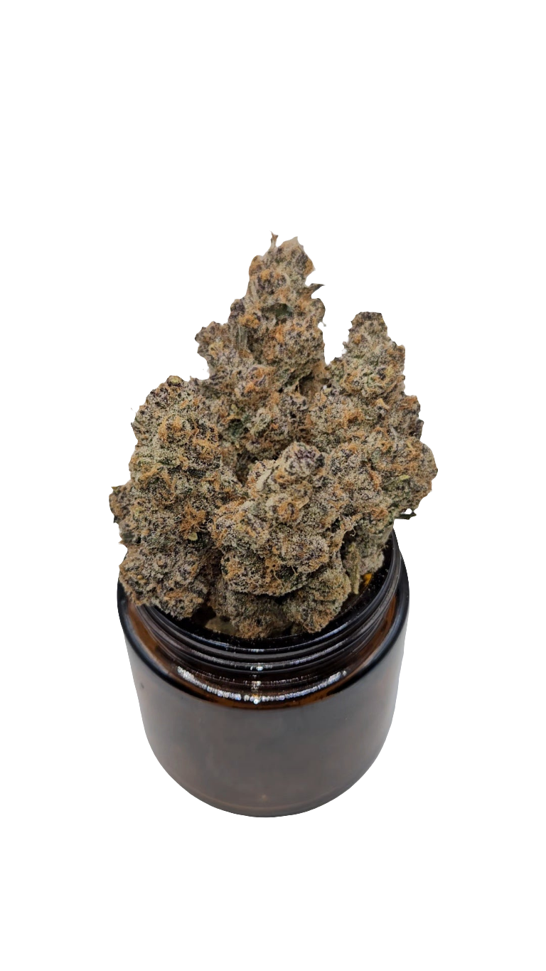 Superboof - Top Shelf Indoor