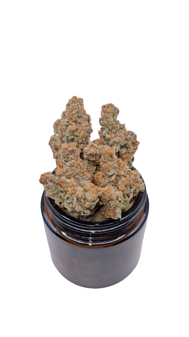 Platinum Papaya - Top Shelf Indoor