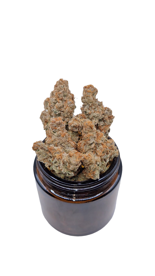 Platinum Papaya - Top Shelf Indoor