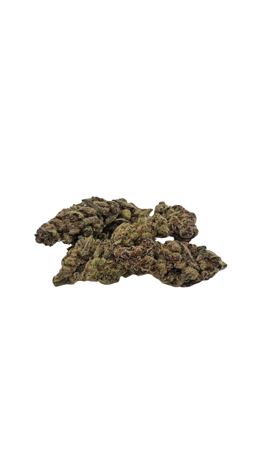 Glitter Bomb - 2025' Greenhouse Flower