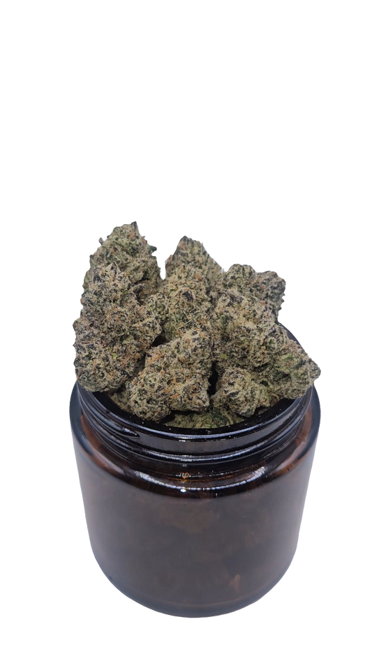 Lemon Cherry Gumbo - Top Shelf Indoor