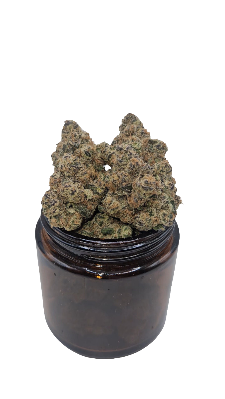 Grape Warheads - Top Shelf Indoor