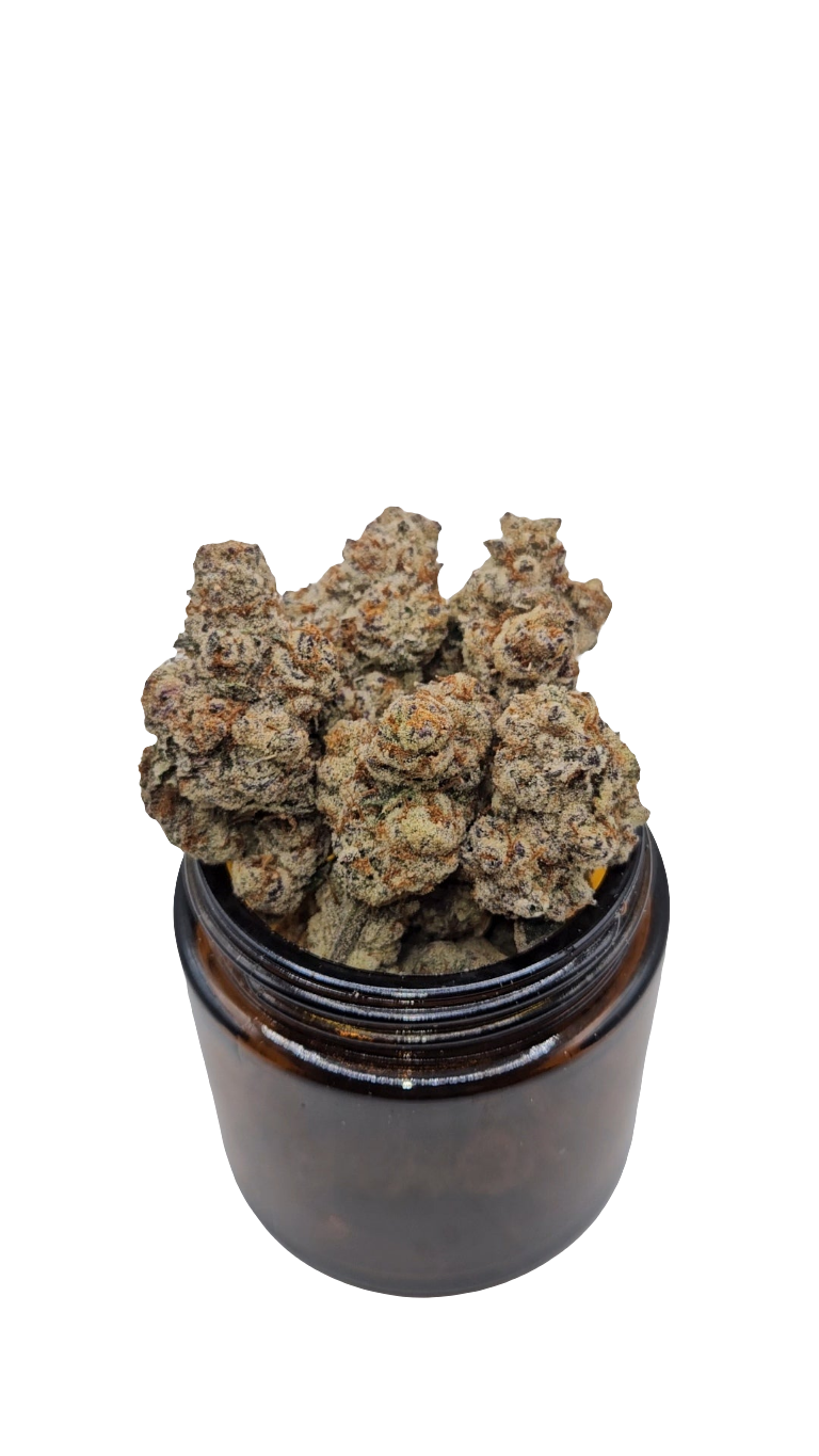 Slurricane - Top Shelf Indoor